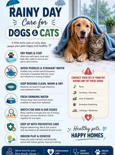 How Climate Impacts Your Dog's Daily Routine