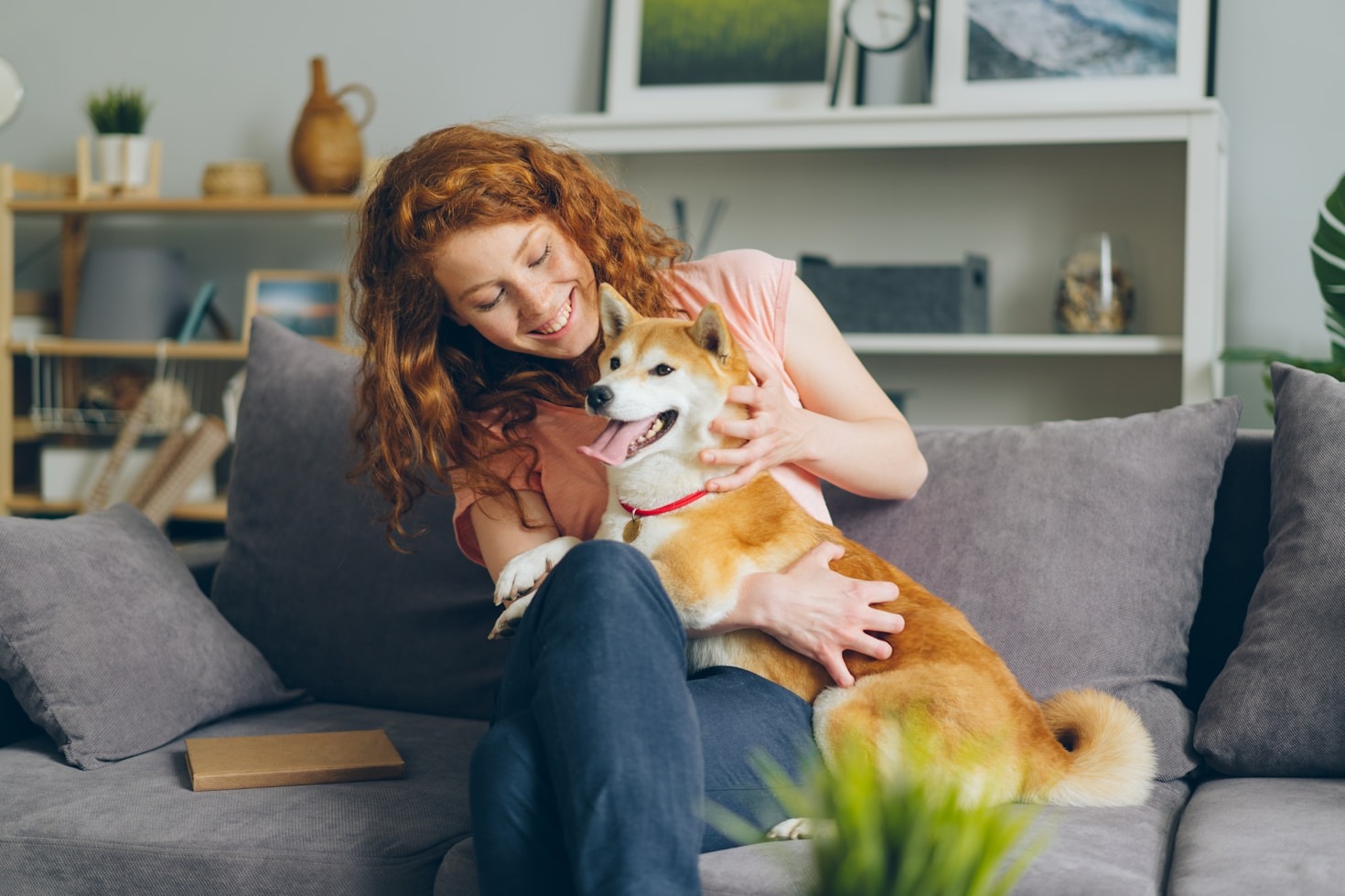 Understanding The Temperament Of Tibetan Mastiffs